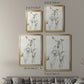 Late Summer Wildflowers II - Modern Framed Canvas Print