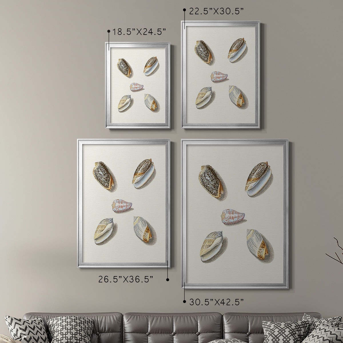 Pastel Knorr Shells III - Modern Framed Canvas Print