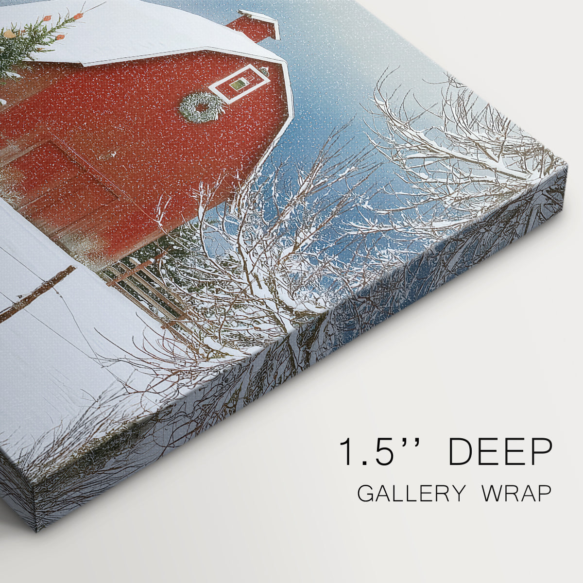 Silver Fir Promise - Canvas Art Print