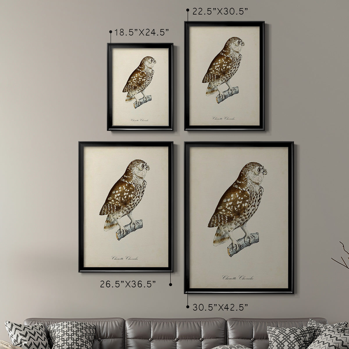 French Owls I - Modern Framed Canvas Print