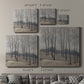 Soft Light II - Canvas Art Print