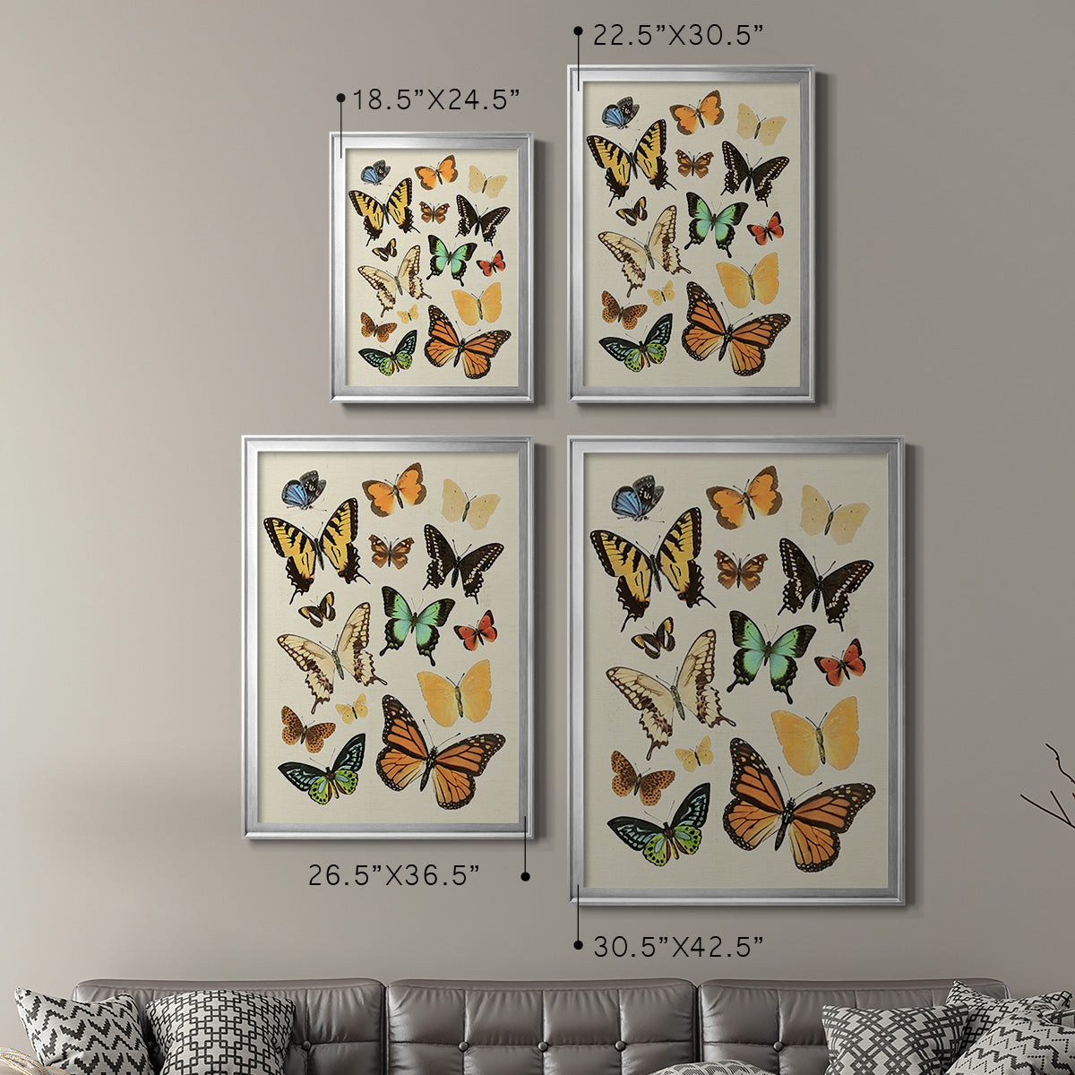 Collected Flutter I - Modern Framed Canvas Print