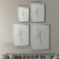 Neutral Iris Sketch II - Modern Framed Canvas Print