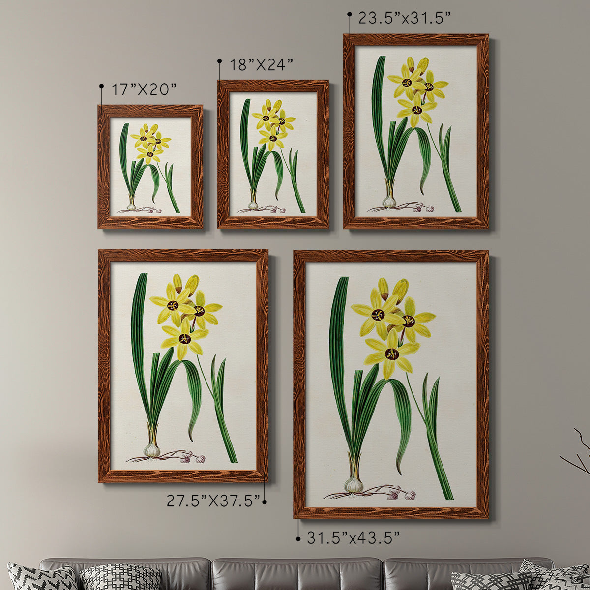 Size comparison chart for a set of two maple barnwood framed canvas prints.
