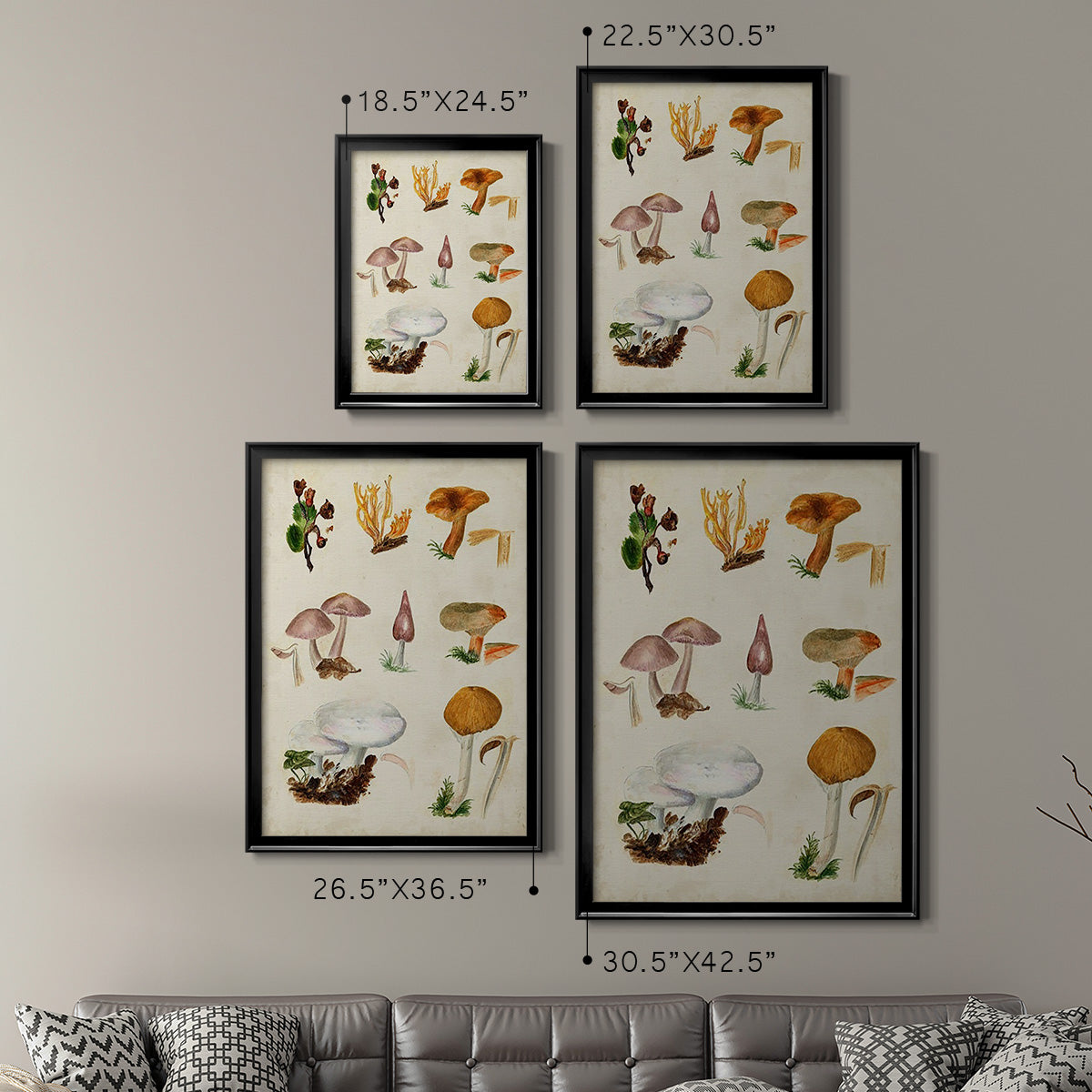 Mushroom Species VI - Modern Framed Canvas Print
