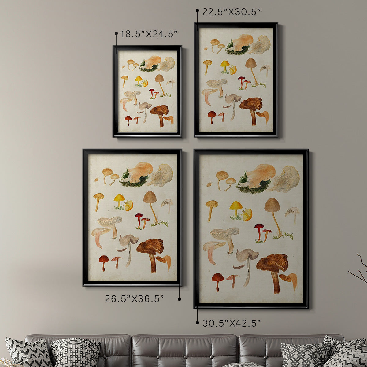 Mushroom Species XII - Modern Framed Canvas Print