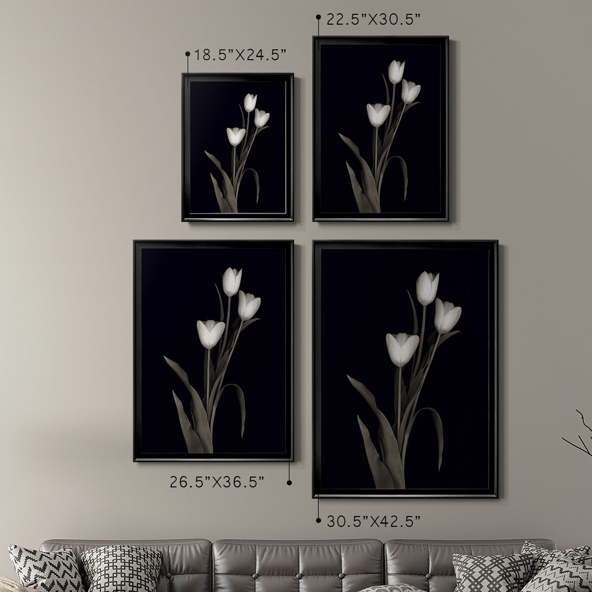 Tulip Pose I - Modern Framed Canvas Print