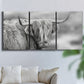 Three-panel canvas wall art featuring large highland cow portrait, displayed in a living room above a sofa.
