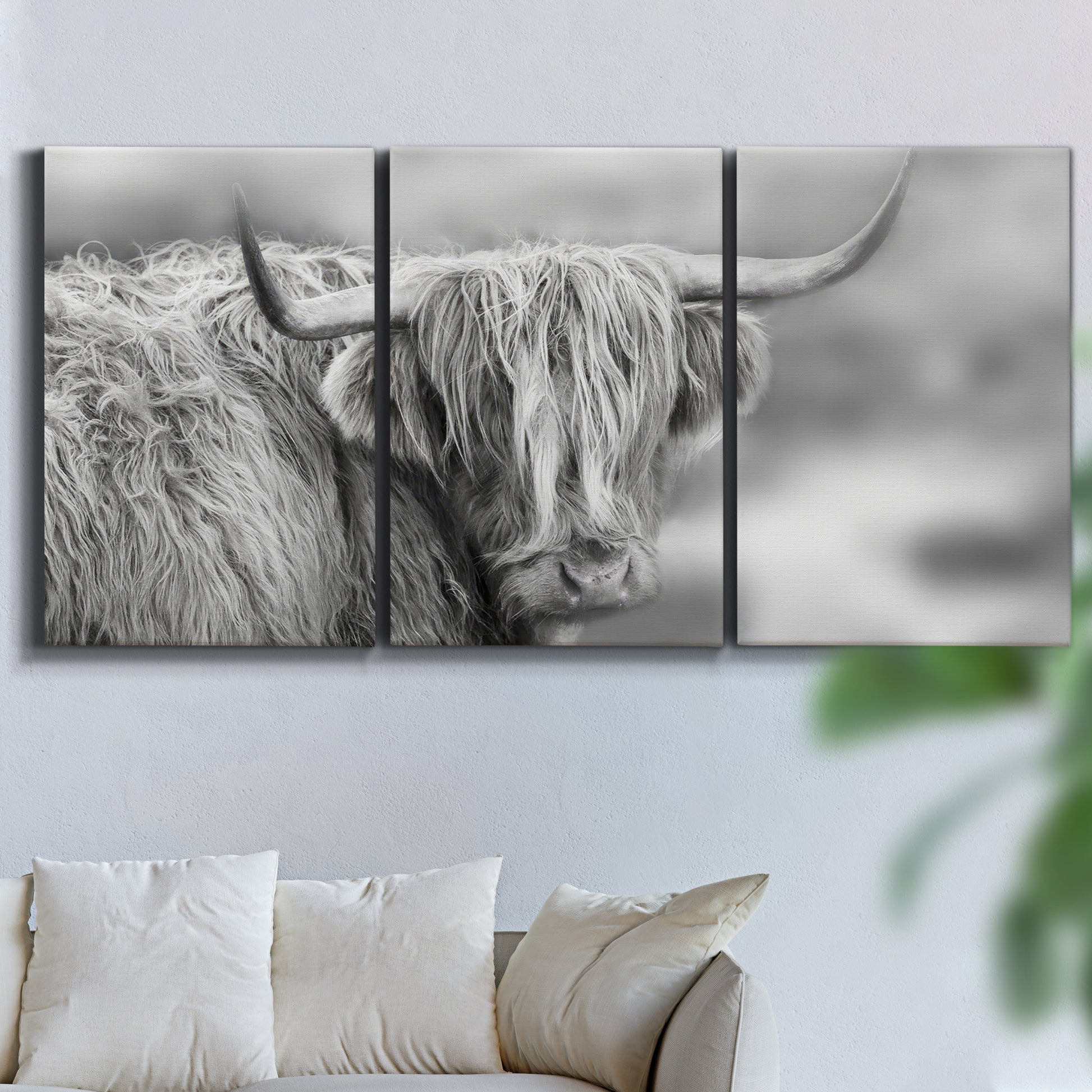 Three-panel canvas wall art featuring large highland cow portrait, displayed in a living room above a sofa.