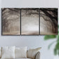 Three-panel canvas wall art featuring tree lined plantation road, displayed in a living room above a sofa.