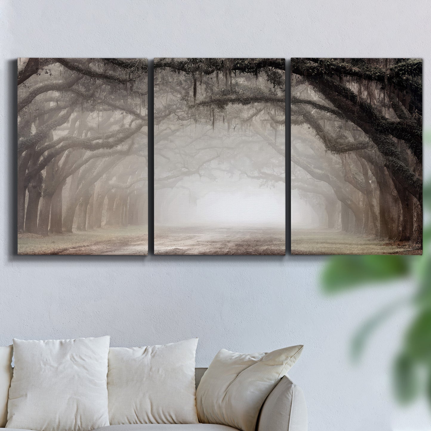 Three-panel canvas wall art featuring tree lined plantation road, displayed in a living room above a sofa.