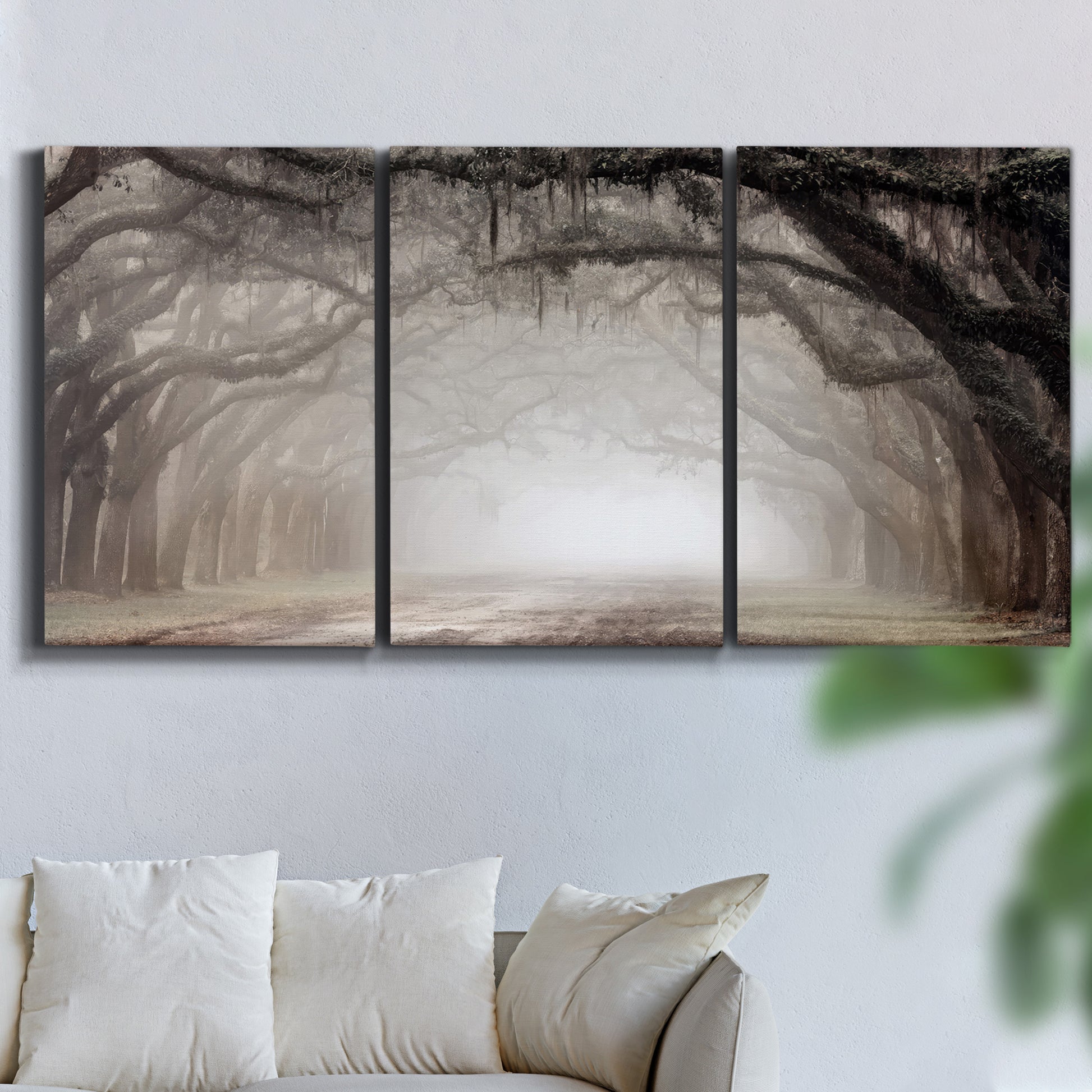 Three-panel canvas wall art featuring tree lined plantation road, displayed in a living room above a sofa.