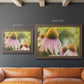 Echinacea Study II Premium Framed Canvas- Ready to Hang