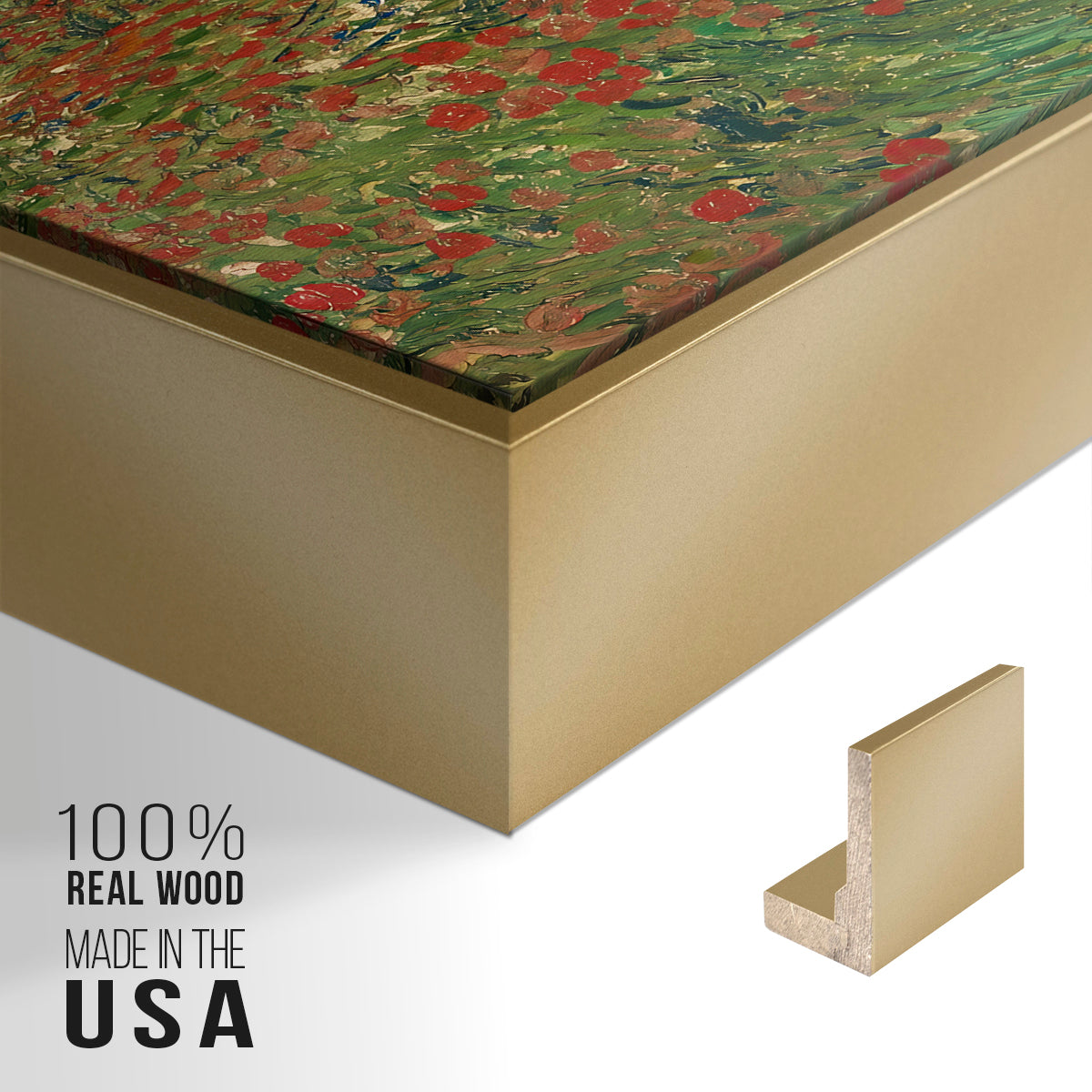 Field with Poppies, 1889 - Floater Framed Canvas Print