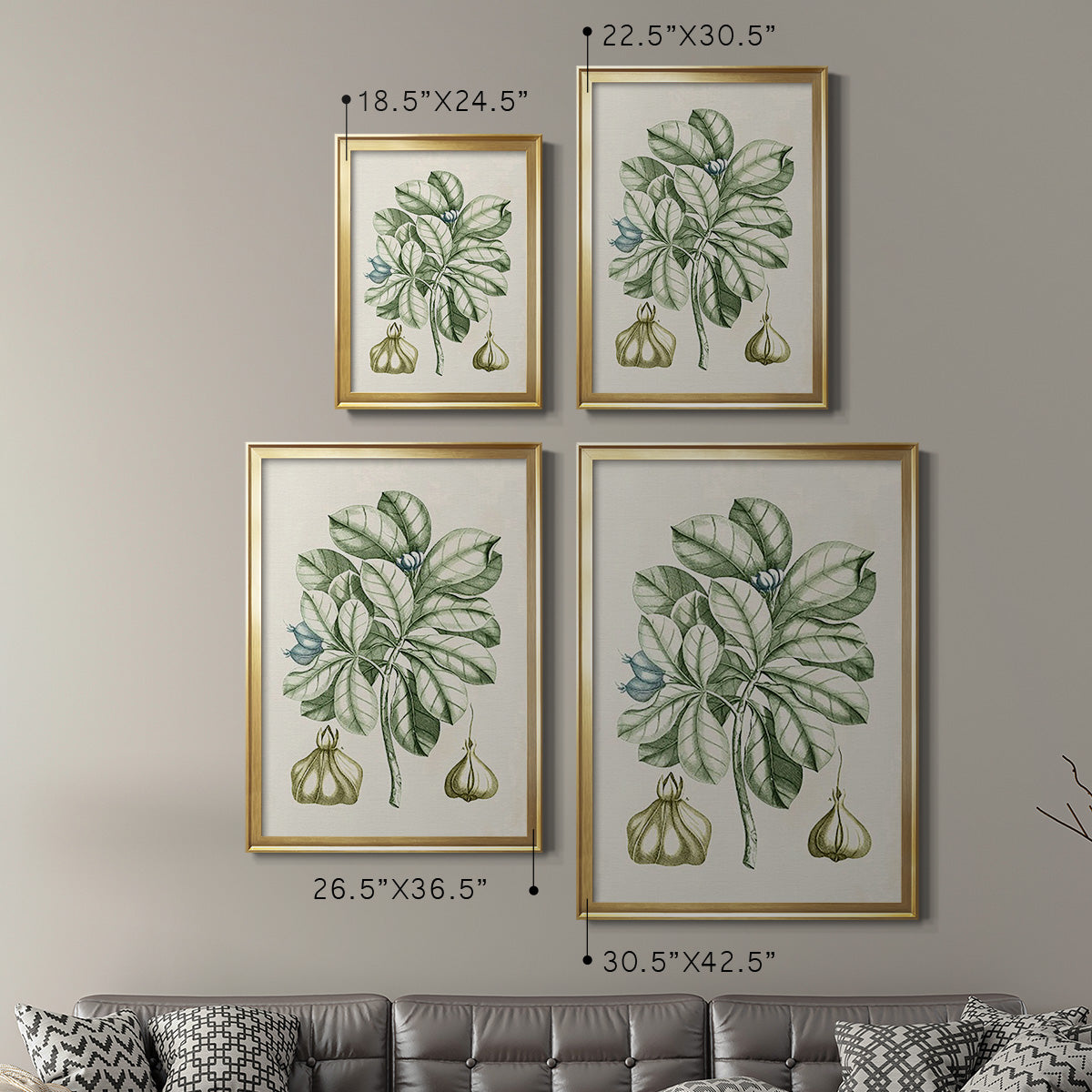 Buchoz Tropicals IX - Modern Framed Canvas Print