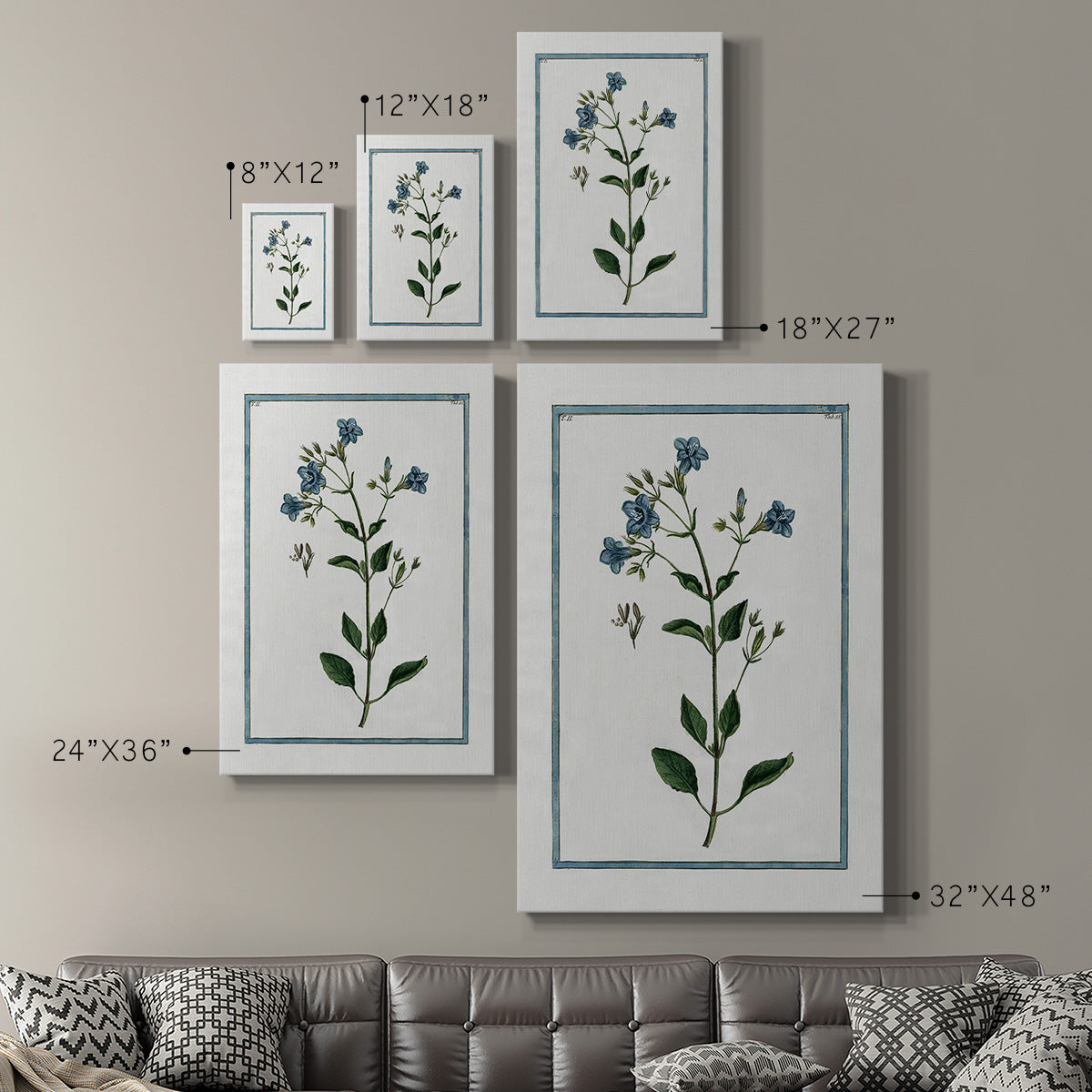 Shabby Chic Botanical II - Canvas Art Print