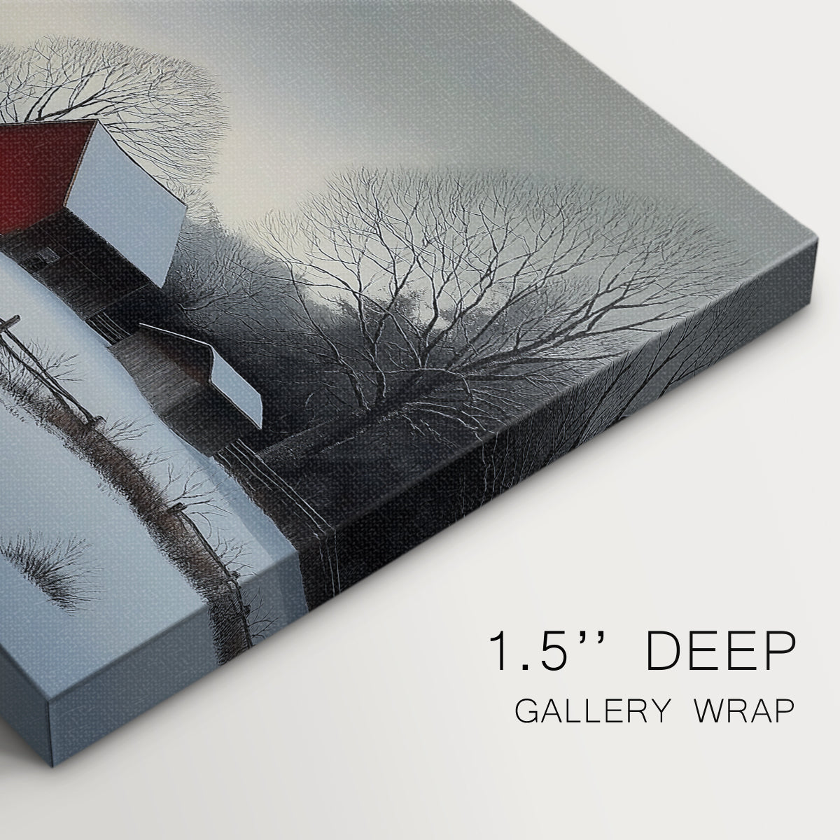 Dawn of Pale Winter Star - Canvas Art Print