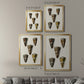 Cone Shell Collection V - Modern Framed Canvas Print