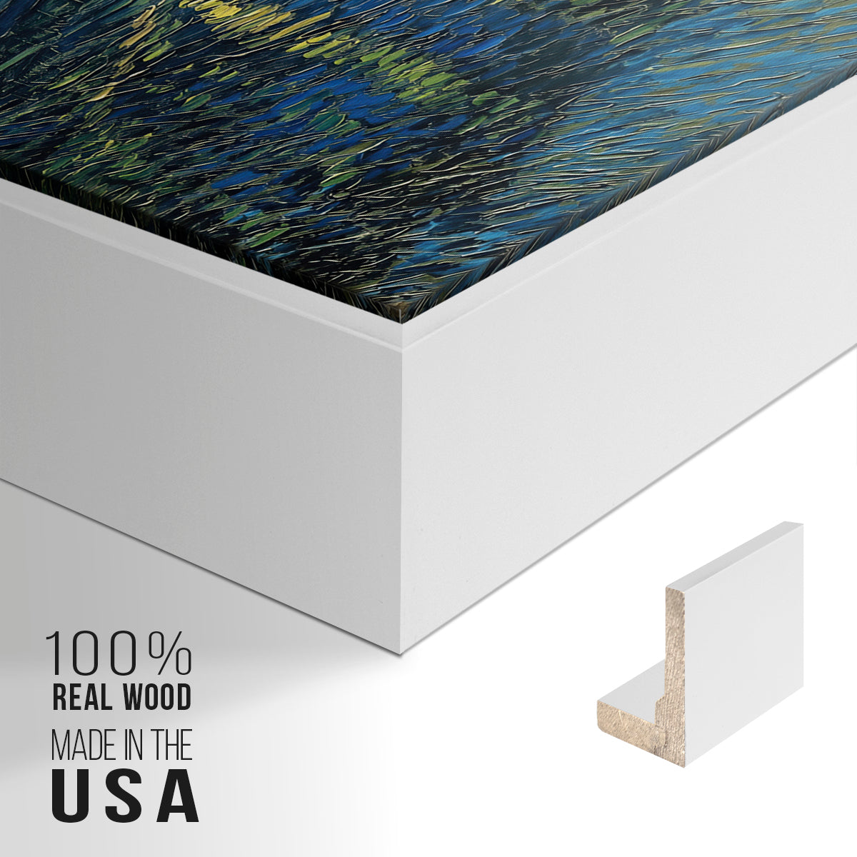 Starry Night Over the Rhône, 1888 - Floater Framed Canvas Print