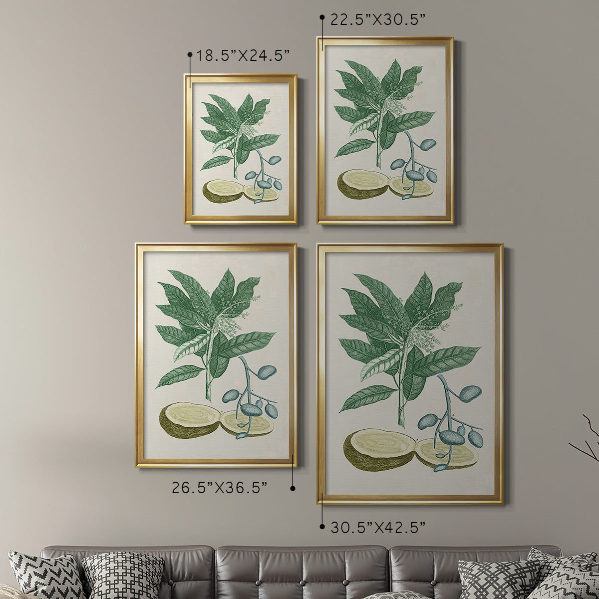 Buchoz Tropicals IV - Modern Framed Canvas Print