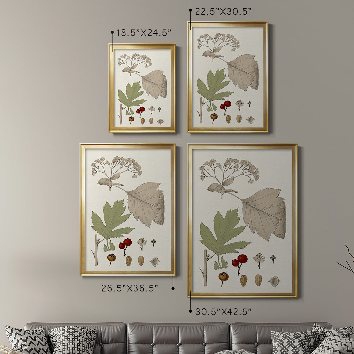 Leaves & Berries II - Modern Framed Canvas Print