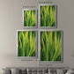 Blades of Grass II - Modern Framed Canvas Print