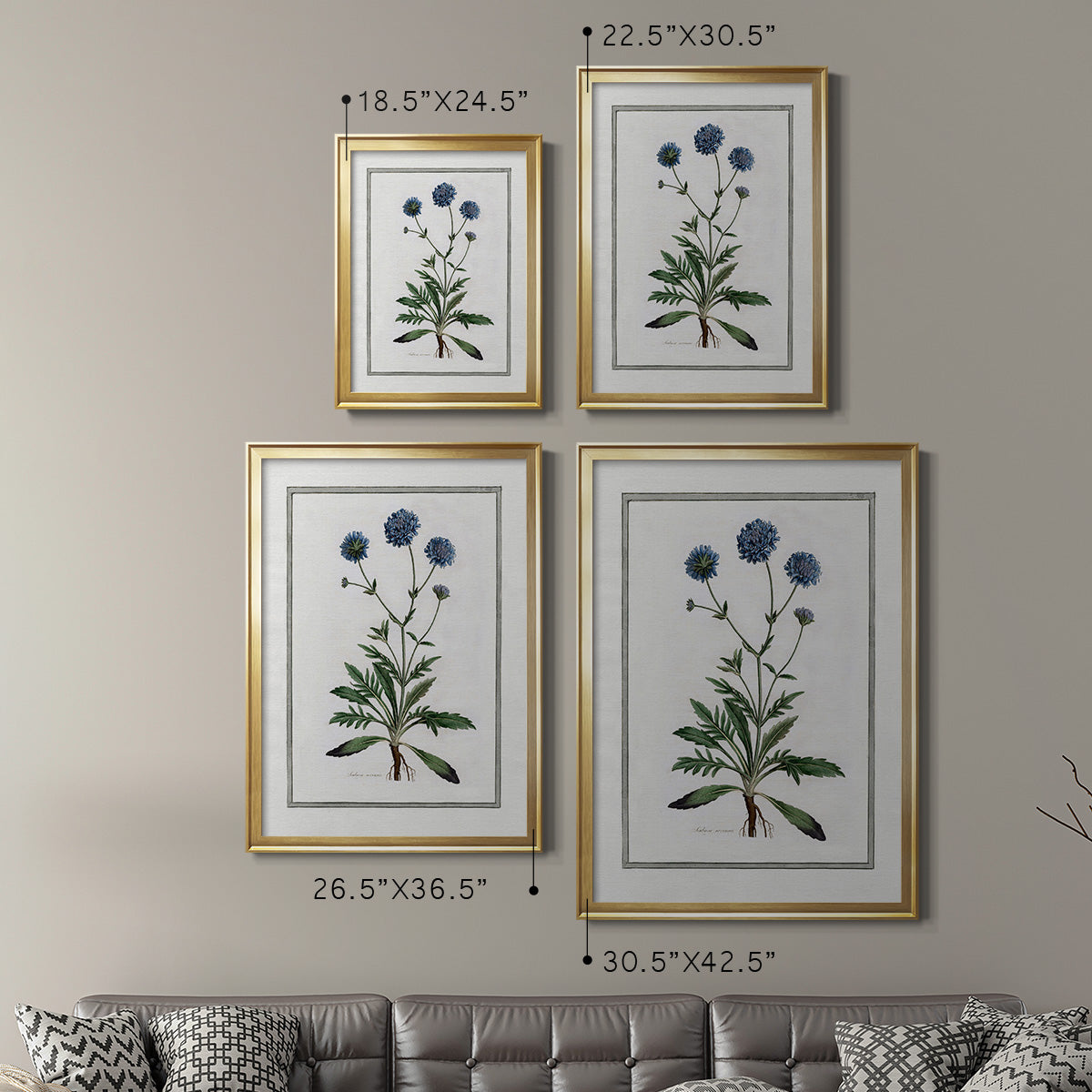 Soft Botanical II - Modern Framed Canvas Print