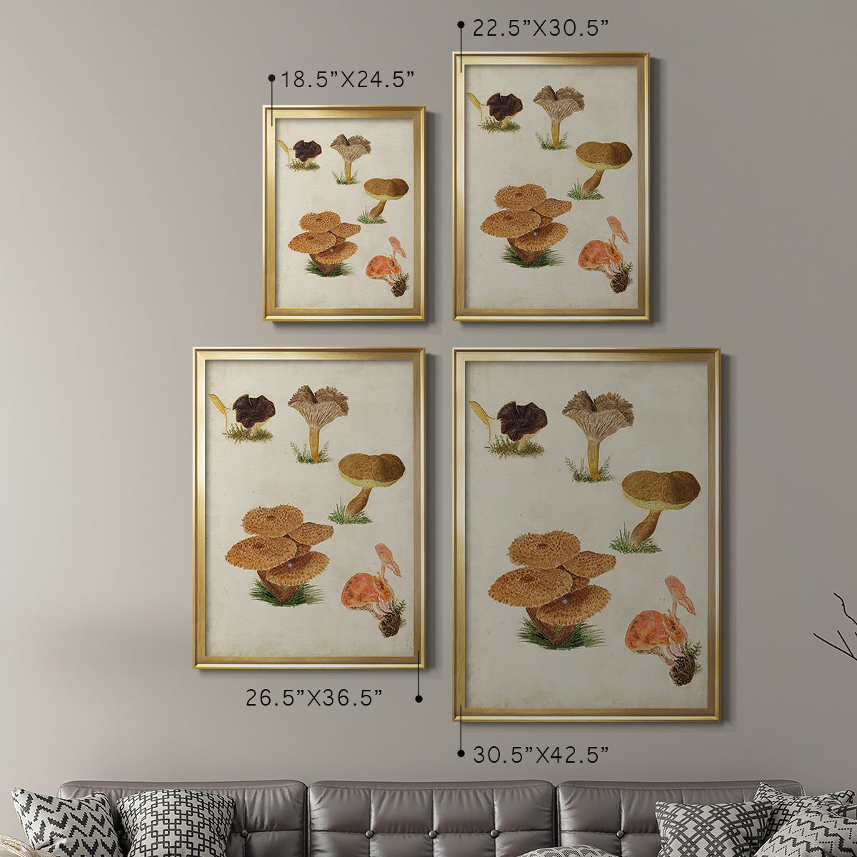 Mushroom Species V - Modern Framed Canvas Print