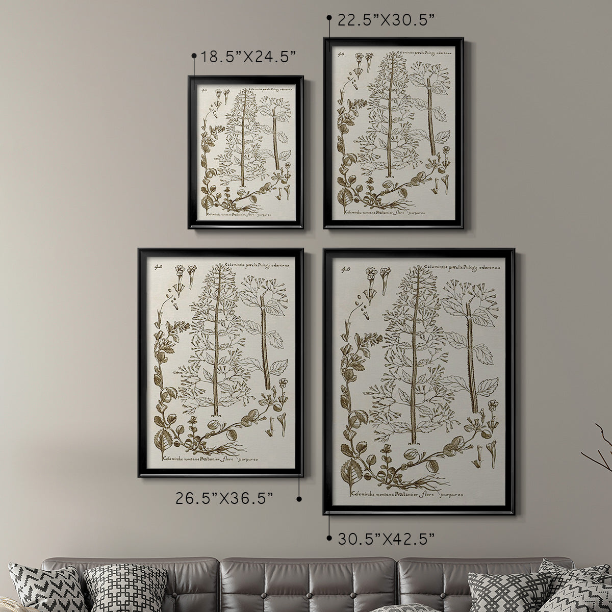 Sepia Botanical Journal V - Modern Framed Canvas Print