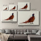 Pheasant Splash 4 Premium Gallery Wrapped Canvas - Ready to Hang