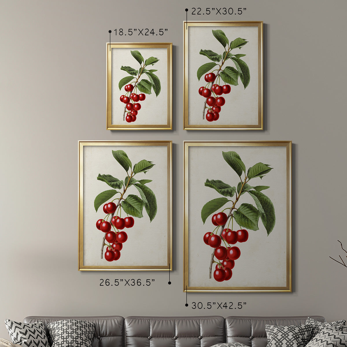 Antique Fruit II - Modern Framed Canvas Print