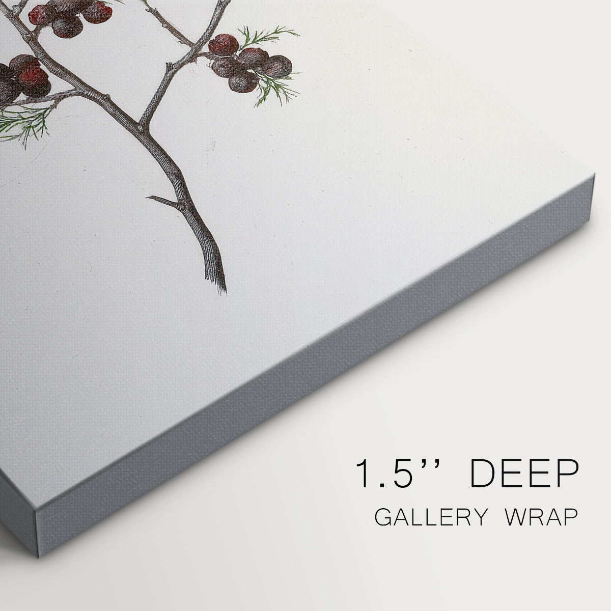 Midnight of Frostlit Morning - Canvas Art Print