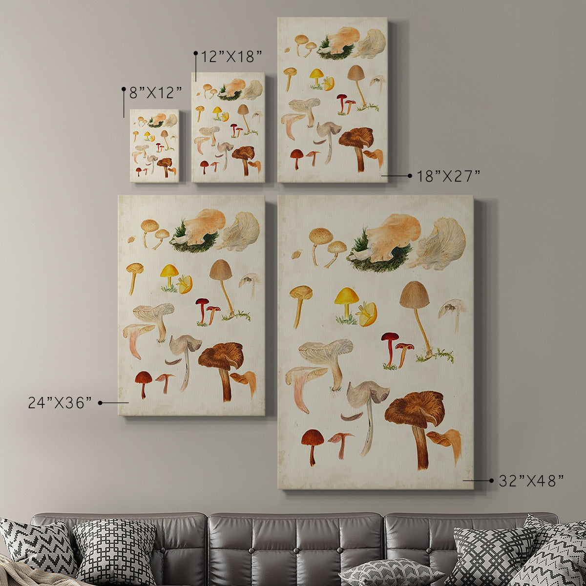 Mushroom Species XII - Canvas Art Print