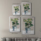 Potted Houseplant II - Modern Framed Canvas Print