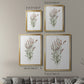 Dainty Botanical II - Modern Framed Canvas Print