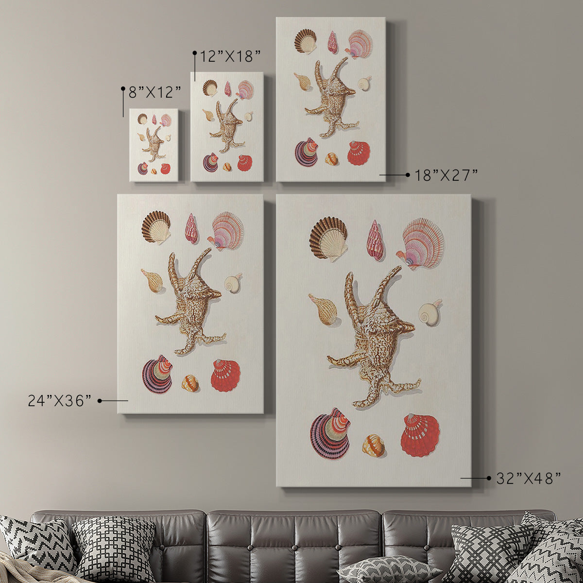 Knorr Shells & Coral II Premium Gallery Wrapped Canvas - Ready to Hang