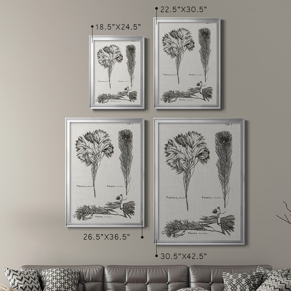 Black & White Protea on Linen I - Modern Framed Canvas Print