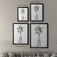 Botanical Arrangement I - Modern Framed Canvas Print