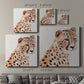 Saharan Cheetah II - Canvas Art Print