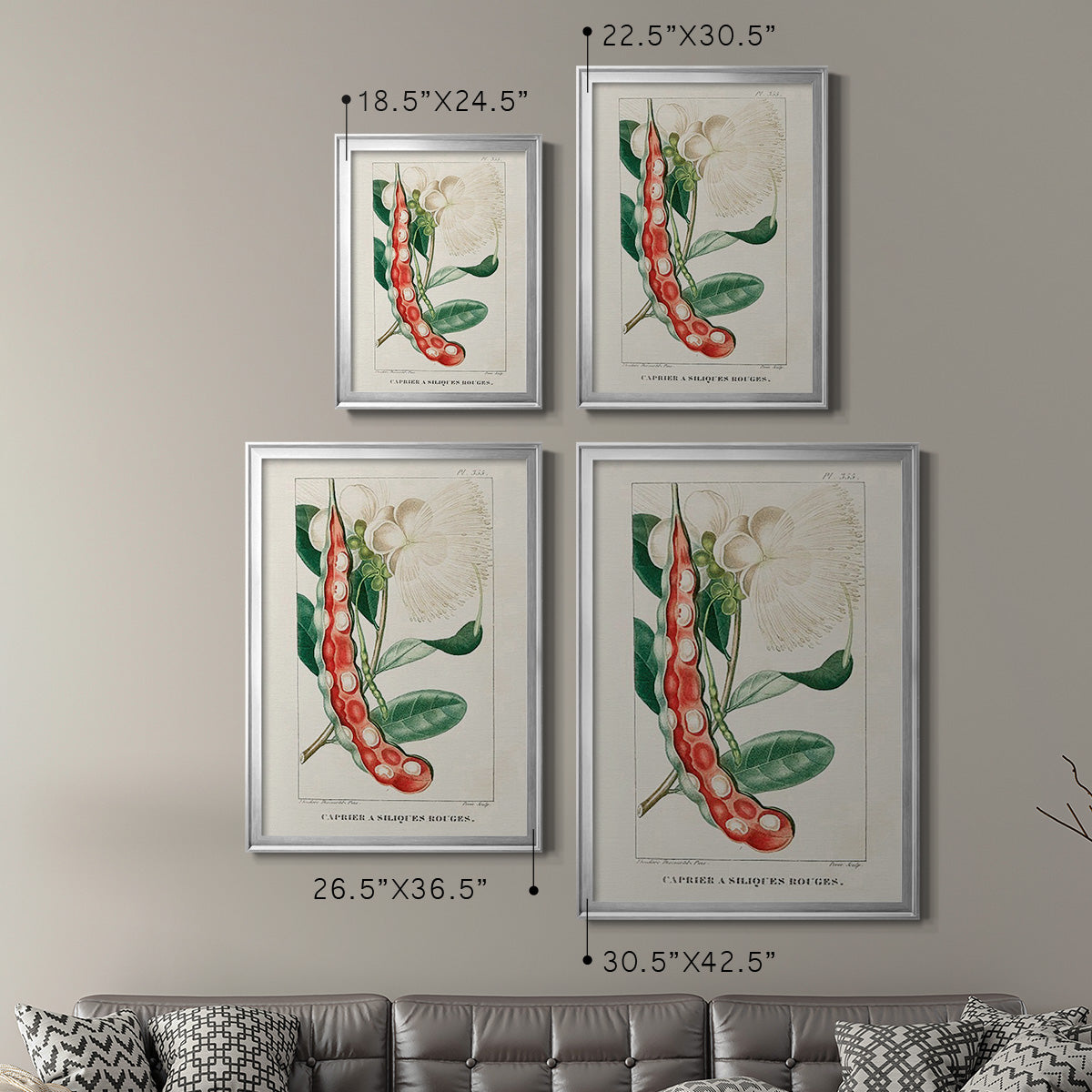 Turpin Tropical Botanicals VIII - Modern Framed Canvas Print