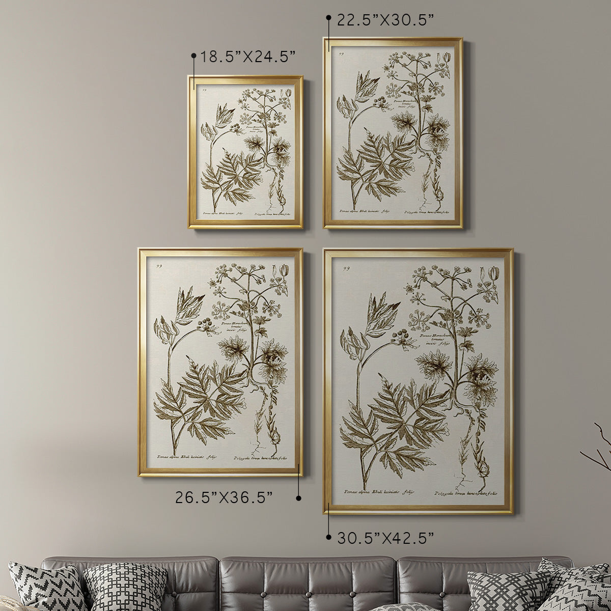 Sepia Botanical Journal III - Modern Framed Canvas Print