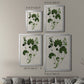 Forest Foliage on Linen IV - Modern Framed Canvas Print