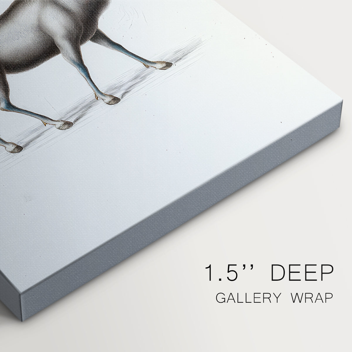 Silver Blessing - Canvas Art Print