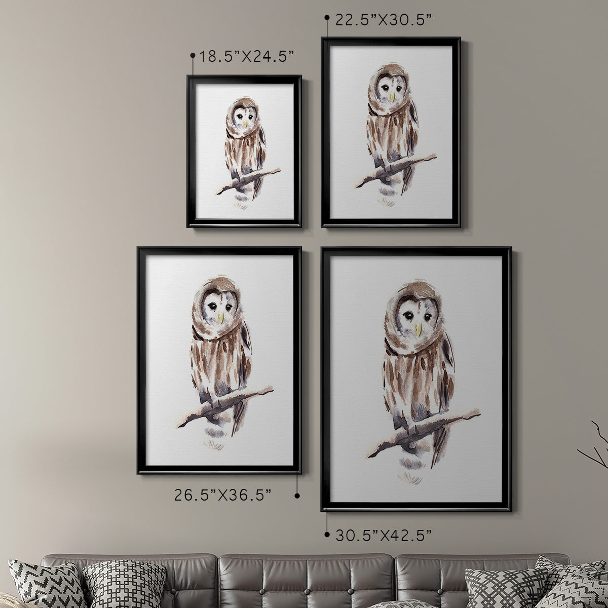 Barred Owl Impressions I - Modern Framed Canvas Print