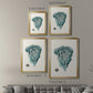 Antique Coastal Coral X - Modern Framed Canvas Print
