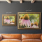 Echinacea Study II Premium Framed Canvas- Ready to Hang