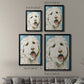 Labradoodle II - Modern Framed Canvas Print