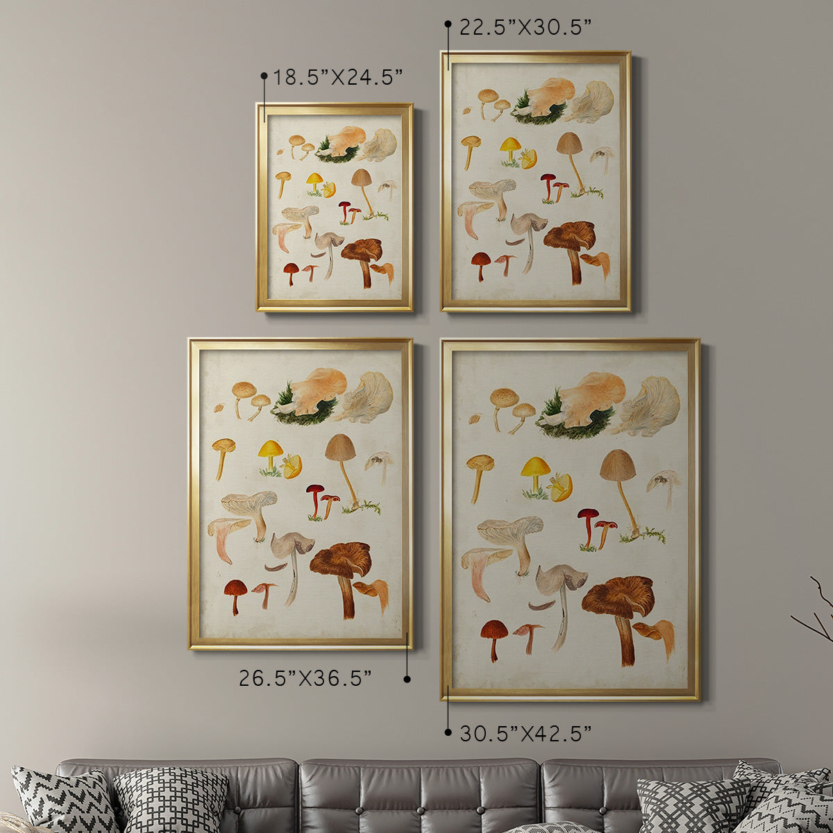 Mushroom Species XII - Modern Framed Canvas Print