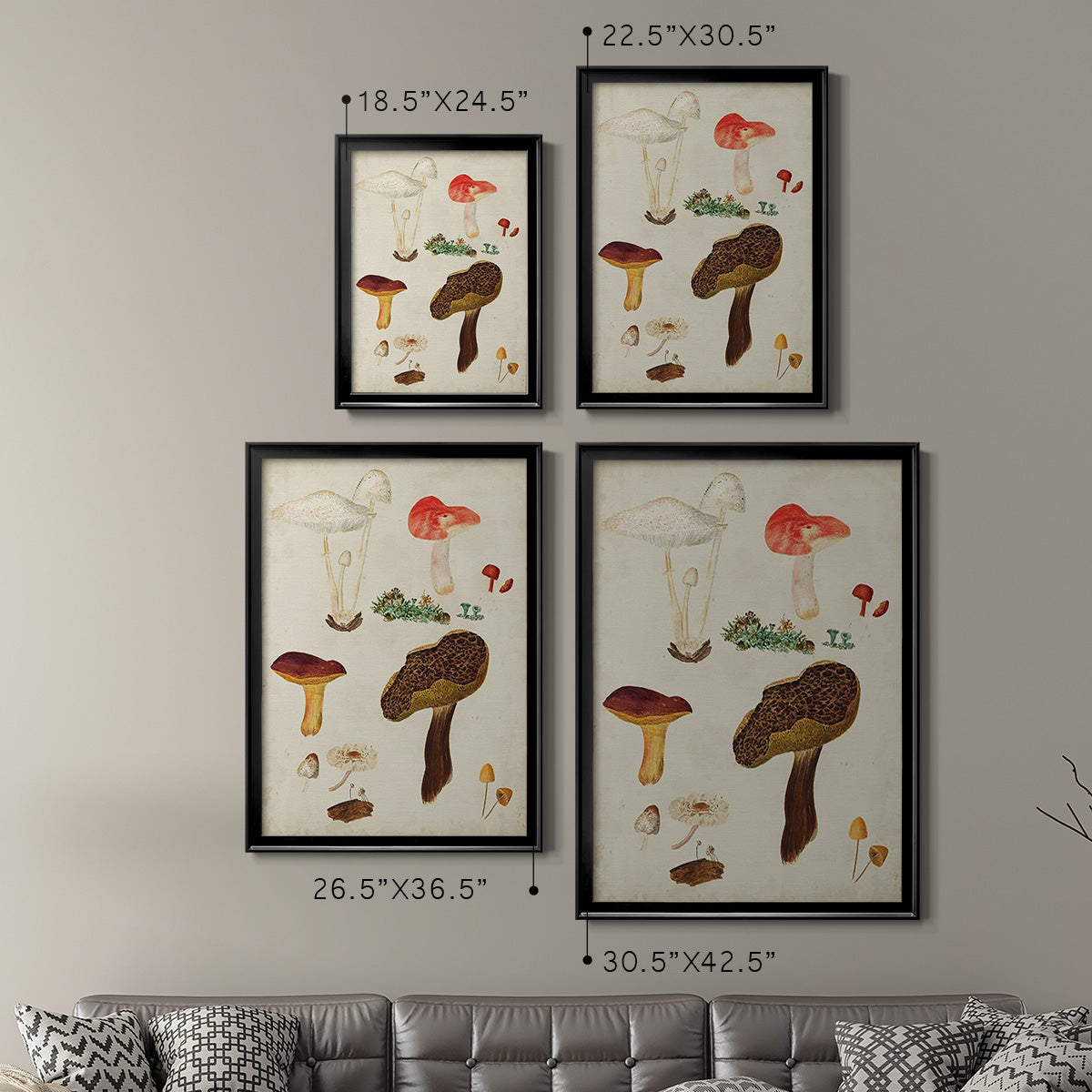 Mushroom Species XI - Modern Framed Canvas Print