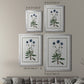 Soft Botanical II - Modern Framed Canvas Print